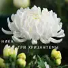 Nika - Три хризантемы